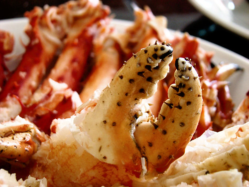 crabe royal de Patagonie