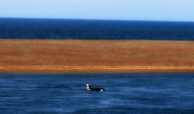 Puerto Madryn, Argentina