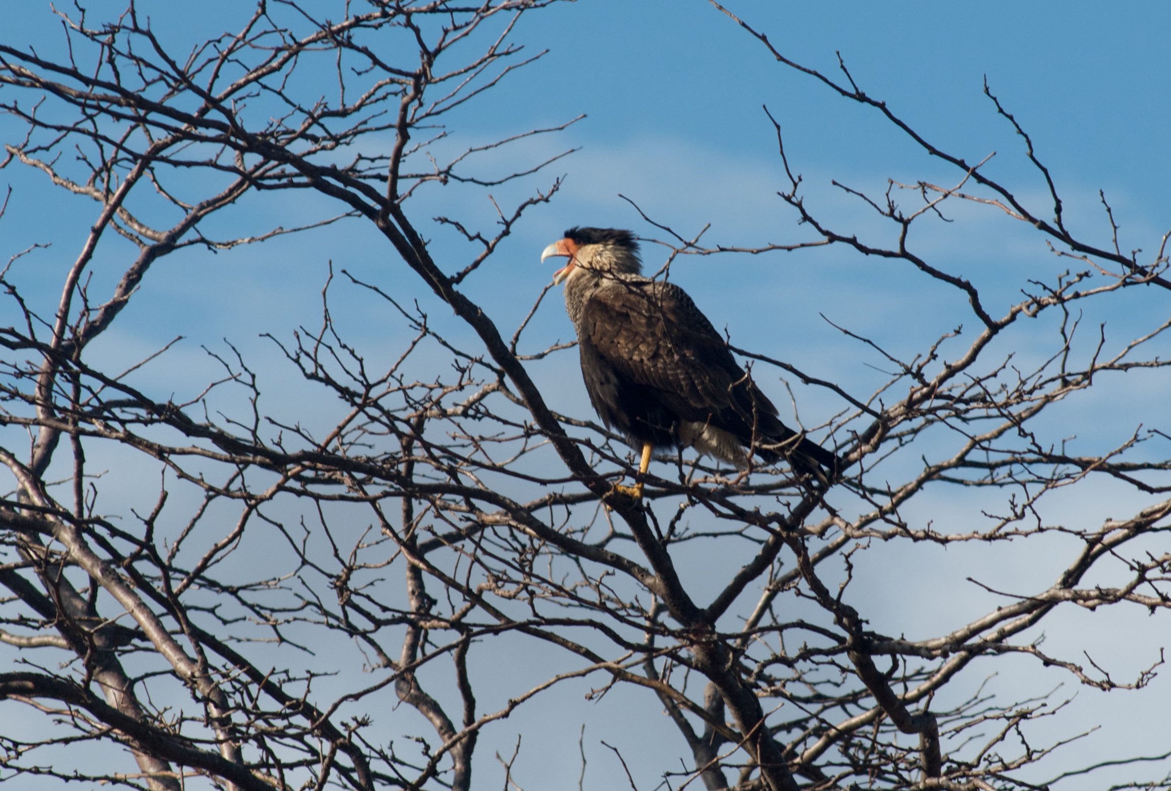 Quebrada Del Condorito Quebrada Del Condorito width=