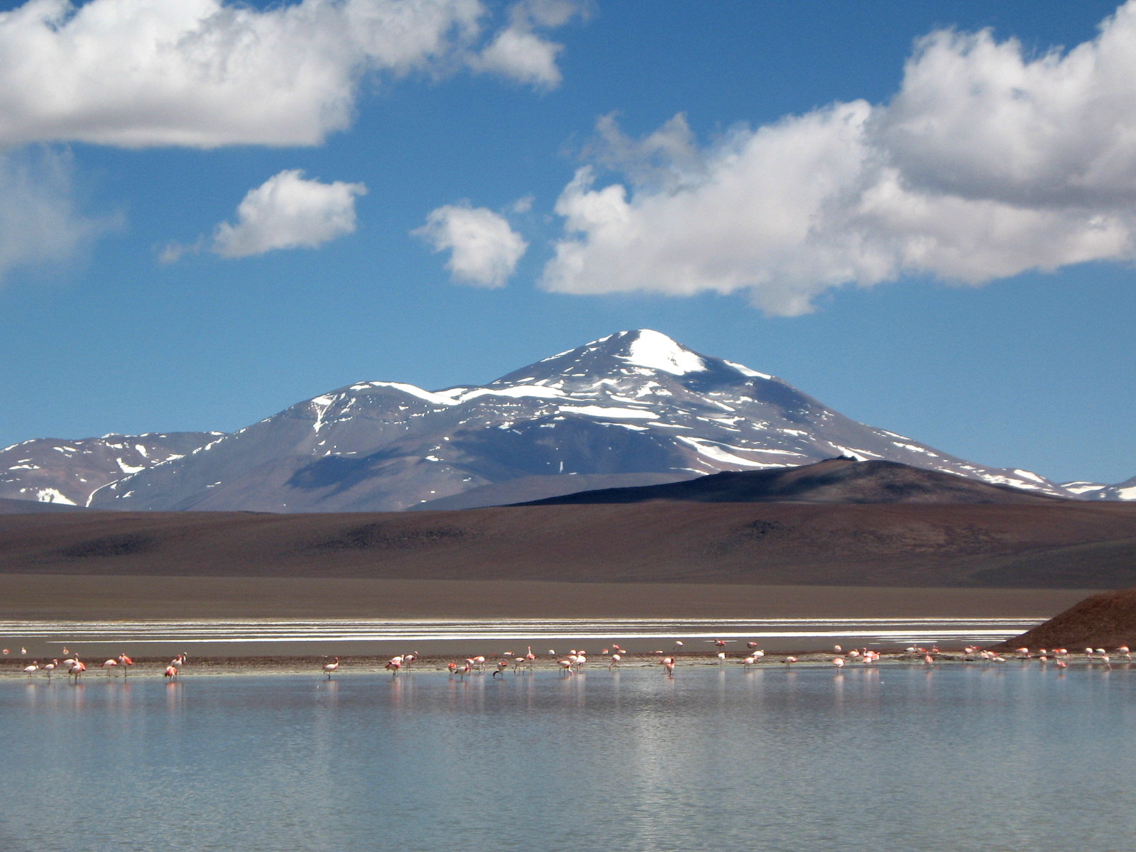 Laguna Brava - Ruta de Los Volcanes