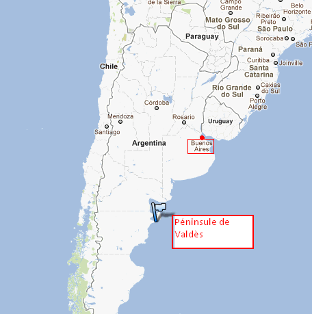 Carte d'argentine - Péninsule de Valdés