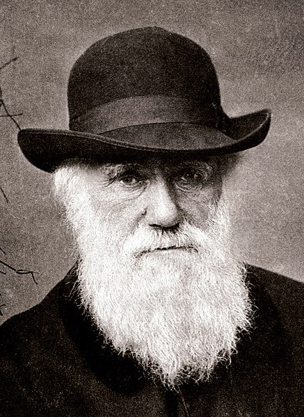 Charles Darwin et son expédition sur l’HMS Beagle