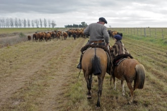 Rendez-vous au cœur de la tradition des gauchos!