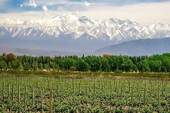 Escapade au Chili depuis Mendoza