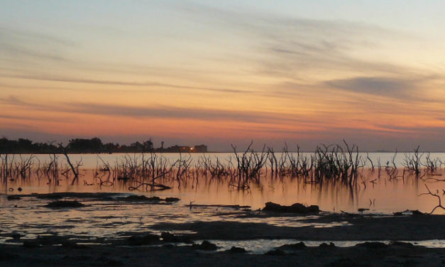 Province de Córdoba : Miramar de Ansenuza