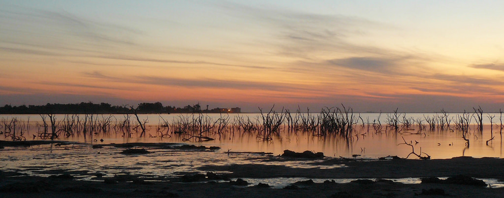 Province de Córdoba : Miramar de Ansenuza