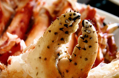 Cuisine : Le crabe royal de Patagonie !
