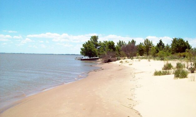 À faire autour de Buenos Aires : la Isla Martín García
