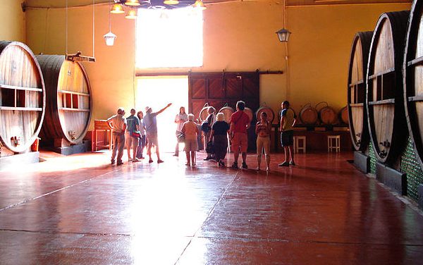 À voir, à faire : la ville de Mendoza !