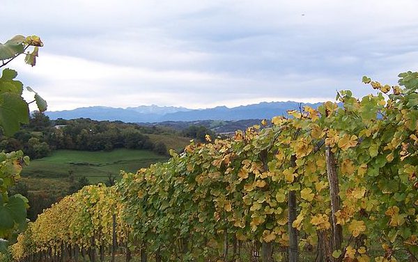 Région de Mendoza : Barreal, un paradis niché dans les Andes !