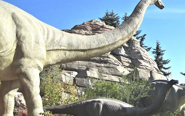 À la découverte des dinosaures en Patagonie !