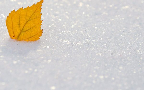 Activités de neige à Ushuaïa