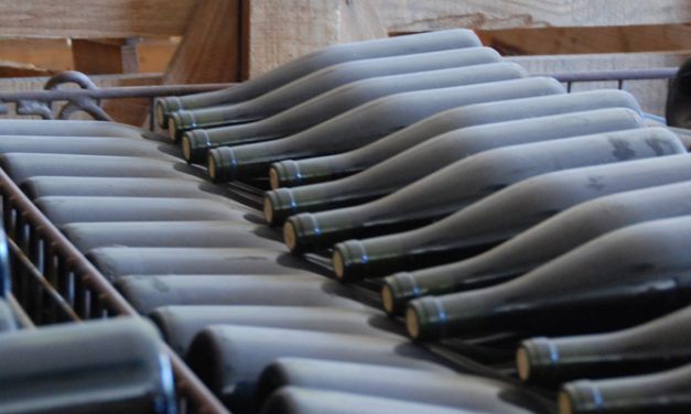 Interview de Olivier de Vignes des Andes