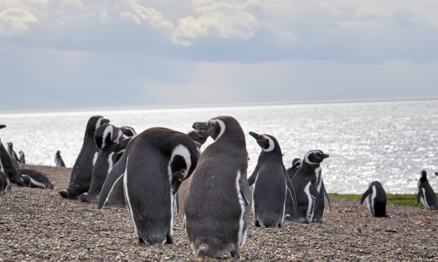 Monte León : visitez ce Parc National