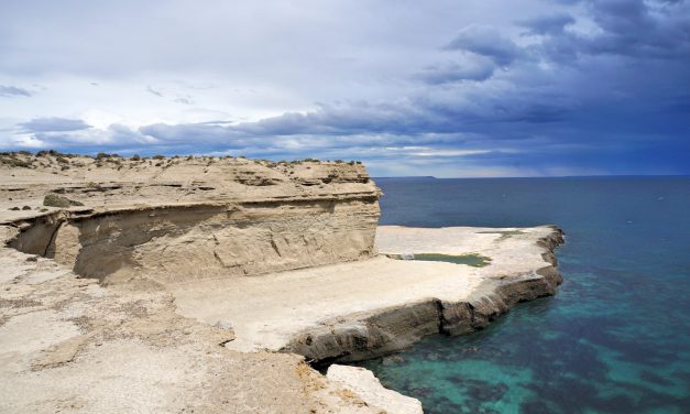La Péninsule de Valdés – Un voyage au beau milieu de la nature