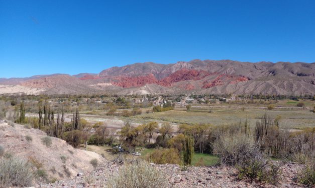 La plus grande centrale solaire d’Amérique du Sud dans la Province de Jujuy !