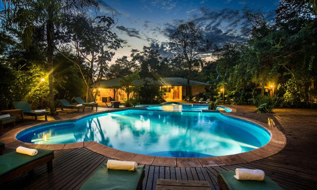 4 Eco-Lodges à Iguazú pour dormir en harmonie avec la nature