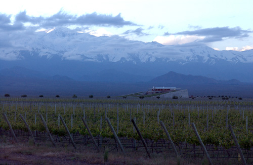 Voyage à la découverte de la gastronomie et du vignoble de Mendoza !