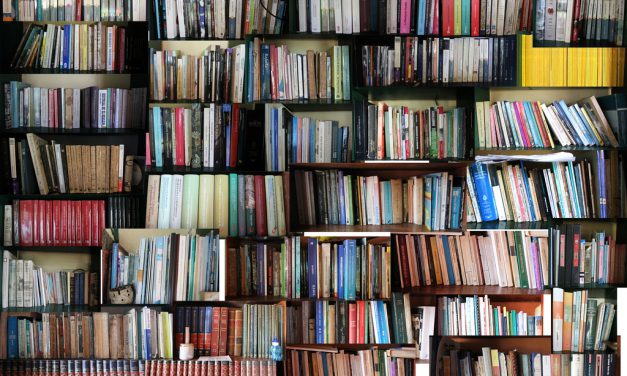 Les 10 articles les plus lus en 2017