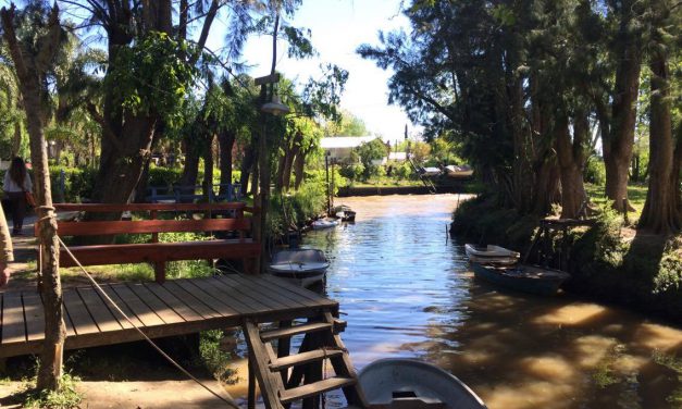 Que faire à Tigre ?