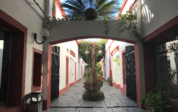 Vivre à Buenos Aires : 20 incontournables