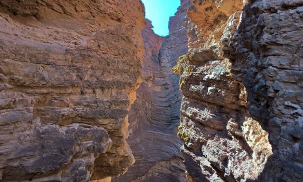 La Quebrada de las Conchas : un site spectaculaire du Nord-Ouest argentin !