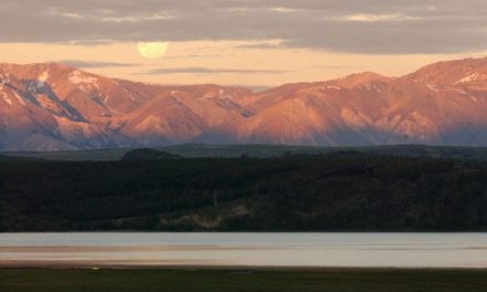 D’où vient le nom de la région de la Patagonie?