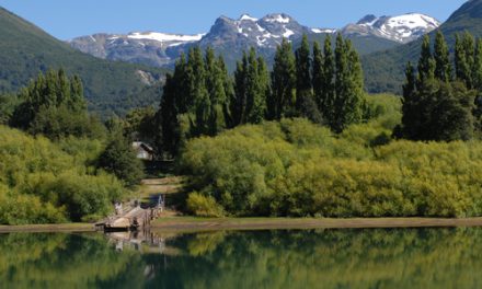 Bariloche : route des Sept Lacs et Estancia