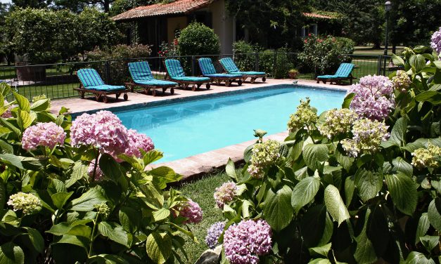 Découvrez les meilleurs estancias de charme d’argentine !