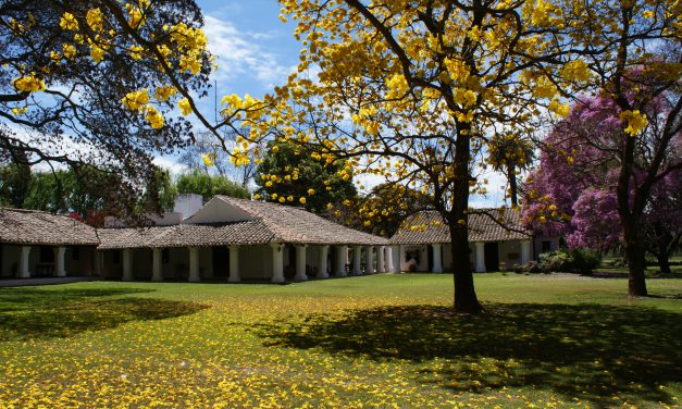 Découvrez les meilleurs estancias hors des sentiers battus !