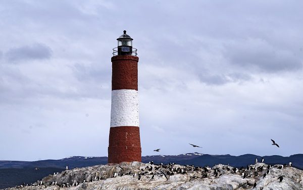 Voyage de l’extrême sud argentin jusqu’au Cap Horn