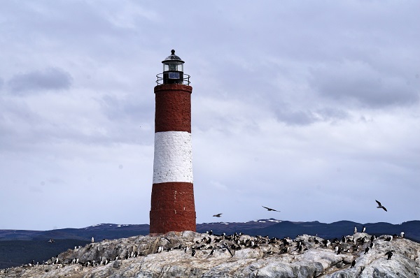 Voyage de l’extrême sud argentin jusqu’au Cap Horn