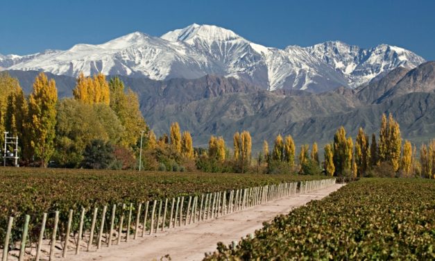 La route des vins dans la province de Mendoza