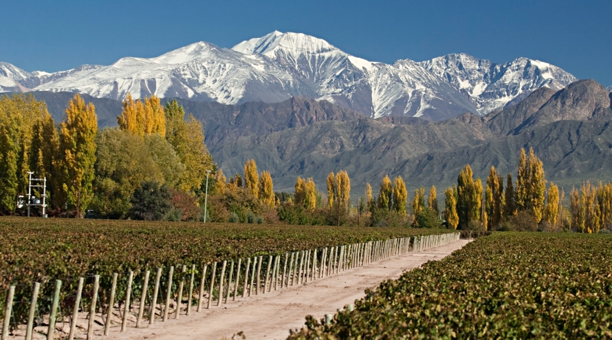 Mendoza, capitale argentine de la viticulture