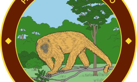 Le Parc National Chaco