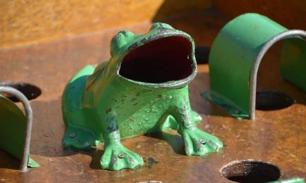 Découvrez LE JEU DU CRAPAUD