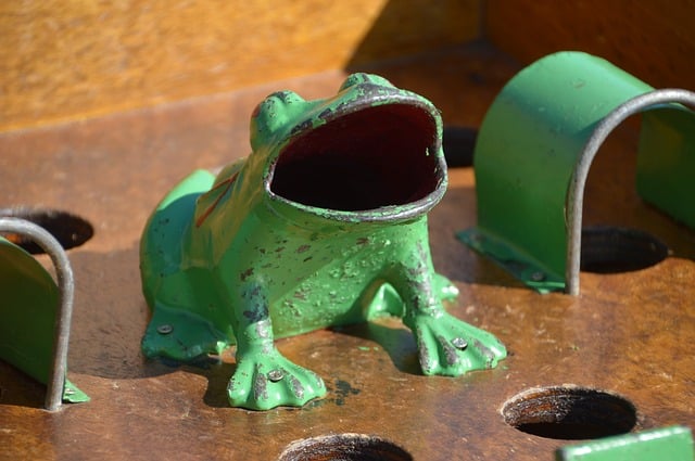 Découvrez LE JEU DU CRAPAUD