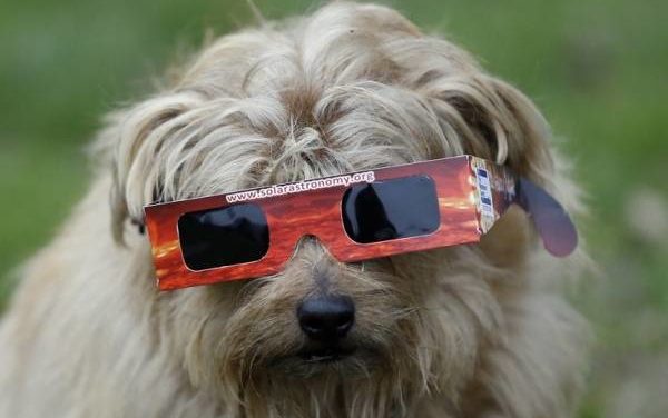 NE RATEZ PAS L?ÉCLIPSE SOLAIRE DU 14 DÉCEMBRE!