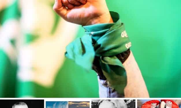 LES ARTICLES QUI VOUS ONT LE PLUS PLU EN 2020